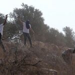 حرق مسجد الحاجة حميدة: بيان سعودي يكشف عن اعتداءات خطيرة على الفلسطينيين - المهجر نت
