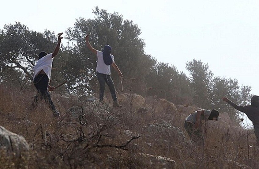 حرق مسجد الحاجة حميدة: بيان سعودي يكشف عن اعتداءات خطيرة على الفلسطينيين - المهجر نت
