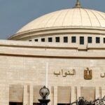 انتخابات مصر 2025: كشف مفاجئ للدوائر الانتخابية المثيرة للجدل وإجراءات عاجلة - المهجر نت