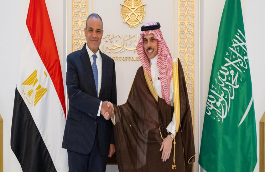 الاتصال المصري السعودي: كشف حقيقة توتر العلاقات وحسم الإشاعات - المهجر نت