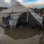 الأمن الغذائي في غزة: تقرير أممي صادم يكشف كارثة غير مسبوقة تهدد ملايين المدنيين - المهجر نت