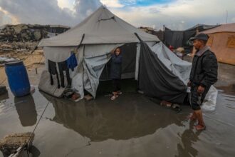 الأمن الغذائي في غزة: تقرير أممي صادم يكشف كارثة غير مسبوقة تهدد ملايين المدنيين - المهجر نت