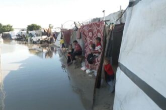 الأزمة الإنسانية في غزة: دعوات أممية عاجلة لرفع القيود وإيصال المساعدات amid وضع خطير ومقلق - المهجر نت