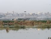 أزمة المياه في العراق: كشف تفاصيل الوضع المائي الخطير وتأمين الشرب - المهجر نت