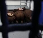 سجن تحت الأرض في إسرائيل للفلسطينيين: كشف صادم عن ظروف التعذيب والانتهاكات - المهجر نت
