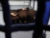 سجن تحت الأرض في إسرائيل للفلسطينيين: كشف صادم عن ظروف التعذيب والانتهاكات - المهجر نت