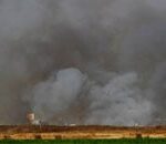 الحرب على لبنان: غارة إسرائيلية صادمة تستهدف جنوب البلاد وتؤدي لاستشهاد مدني - المهجر نت