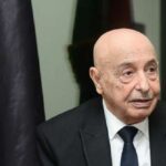 ليبيا: اشتباك خطير بين البرلمان والمجلس الرئاسي حول صلاحيات القضاء - المهجر نت