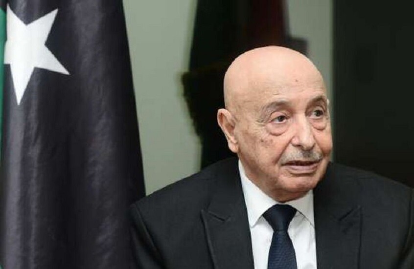 ليبيا: اشتباك خطير بين البرلمان والمجلس الرئاسي حول صلاحيات القضاء - المهجر نت