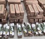 الجريمة المنظمة في إسبانيا: تفكيك شبكة دولية خطيرة واعتقال 20 شخصًا وضبط كميات ضخمة من الكوكايين - المهجر نت