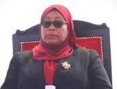 تعديل وزاري في تنزانيا: تعيين وزير مالية جديد مع الإبقاء على الخارجية والتعدين - المهجر نت