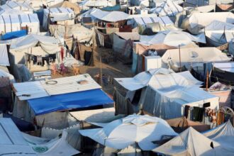 غزة تحت الوصاية الاستعمارية: كشف صادم لخطط أمريكية بقيادة ترامب - المهجر نت