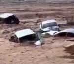 سيول جدة: تحذيرات الأرصاد وخطر فيضانات واسعة بسبب الأمطار الغزيرة - المهجر نت