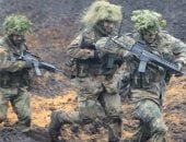 سرقات غريبة صادمة: أغرب الجرائم حول العالم من جسور ونيزك إلى شواطئ مسروقة - المهجر نت