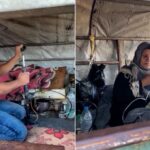 معاناة صادمة في غزة: مسنة وابنها يعيشان في عربة بلا مقومات الحياة - المهجر نت